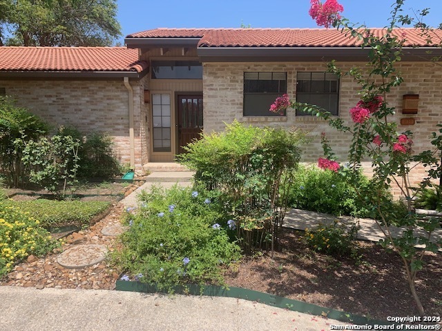 a front view of a house