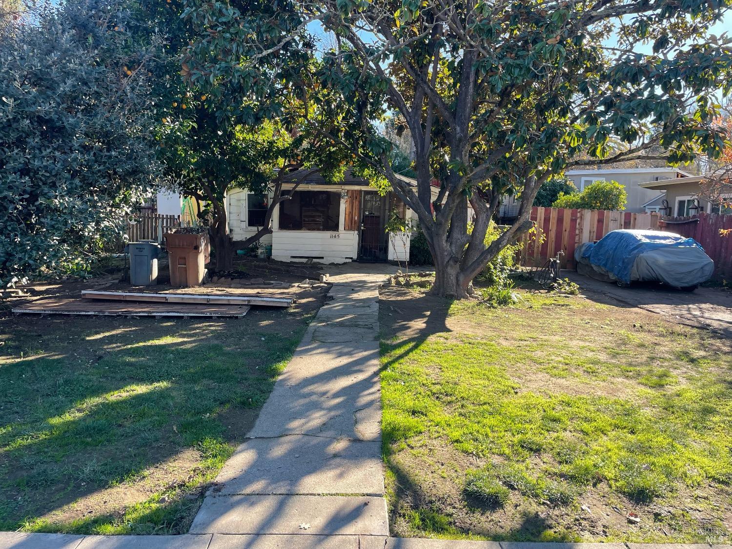 a view of a backyard with table and chairs potted plants and large tree