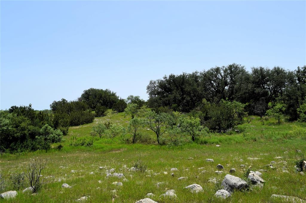 a view of a trees with a yard