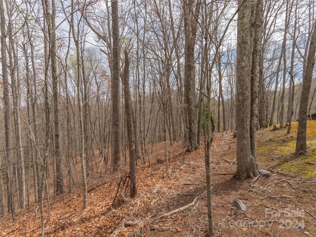 $29,500 | 0 Michele Lane, Unit 4 | Leicester Township - Buncombe County