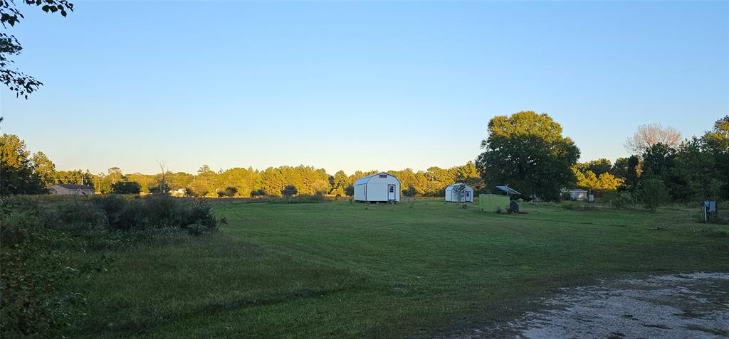 a view of a grassy field with trees