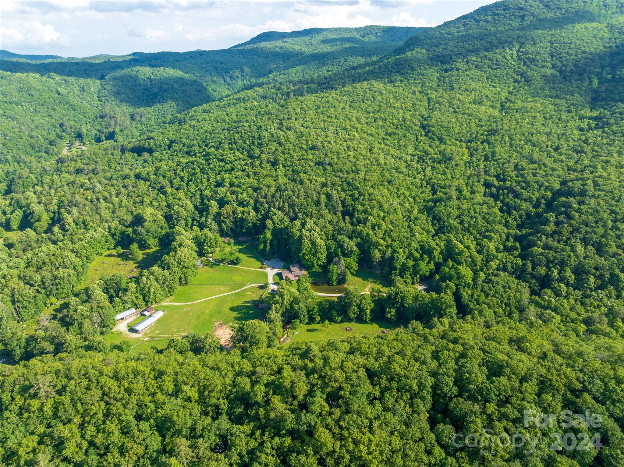 a view of a lush green forest with a house