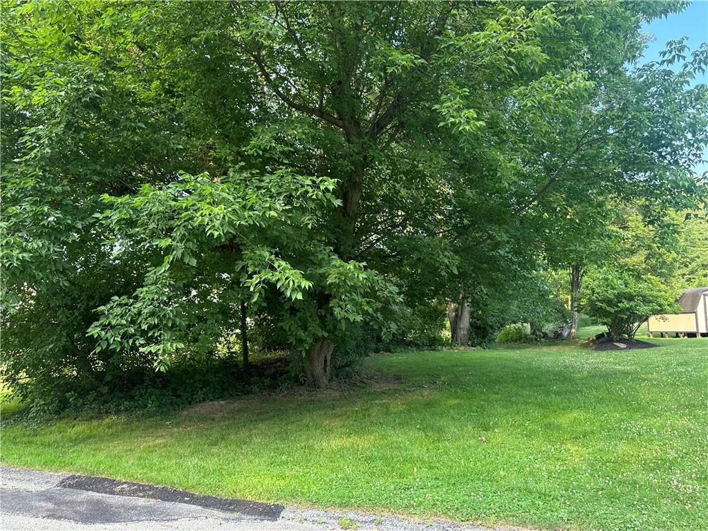 a view of a green yard