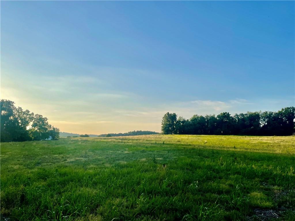 a view of field with grass and trees