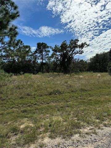 $20,000 | 3358 West Nieman Drive | Pine Ridge