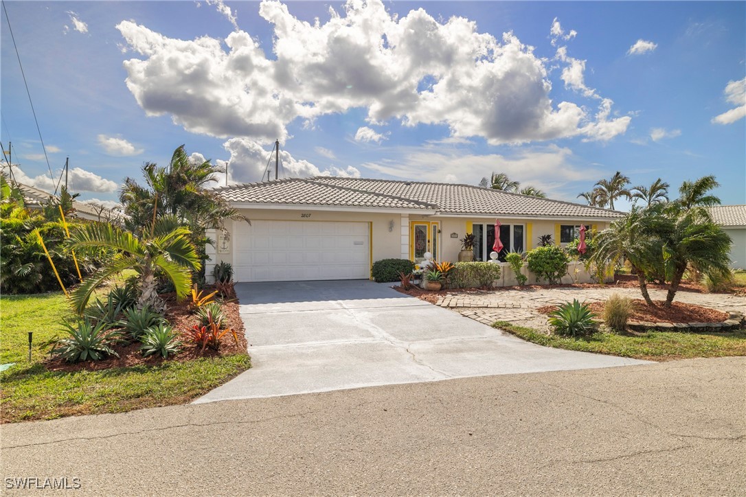 a palm tree in front of a house