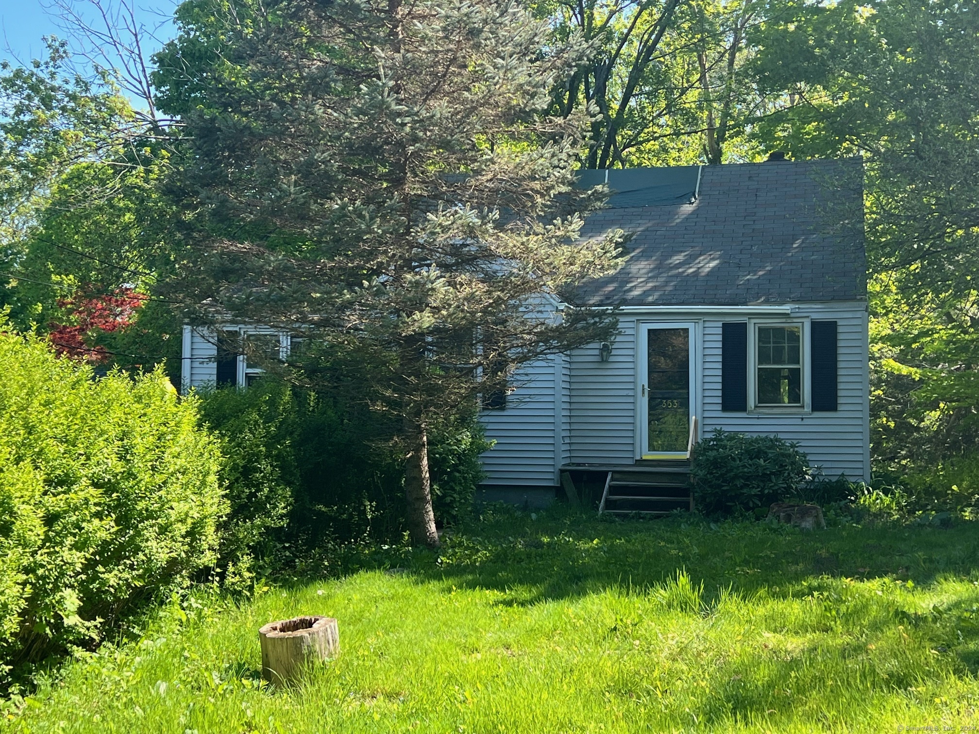 a backyard of a house with plants and large tree