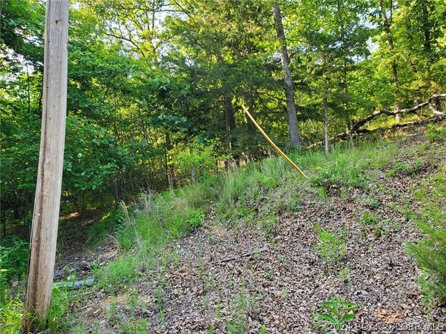 $25,995 | Alcorn Hollow Road | Adair Township - Camden County