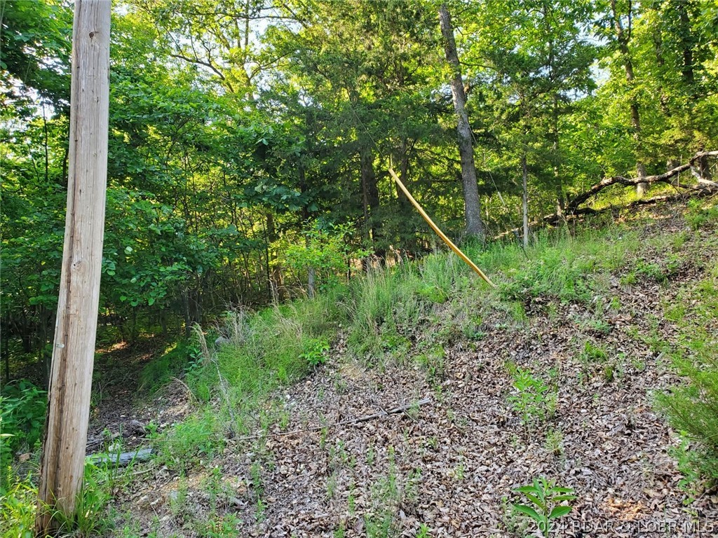 View of Property from Alcorn Hollow Rd