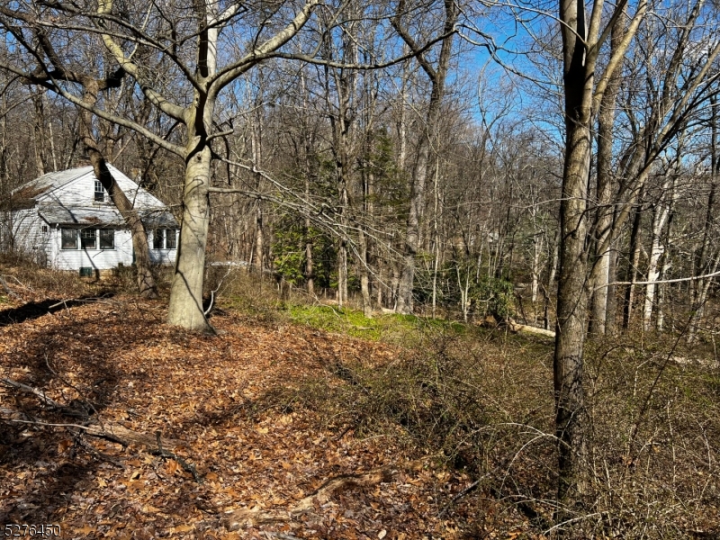 a view of a large yard with lots of green space