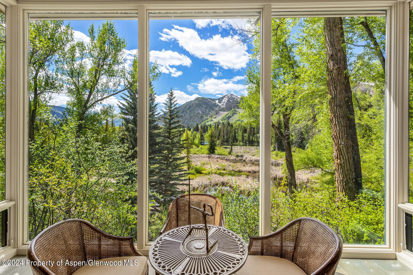 Living Room View