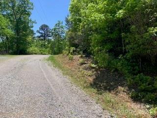 a view of a dirt road with trees in the background