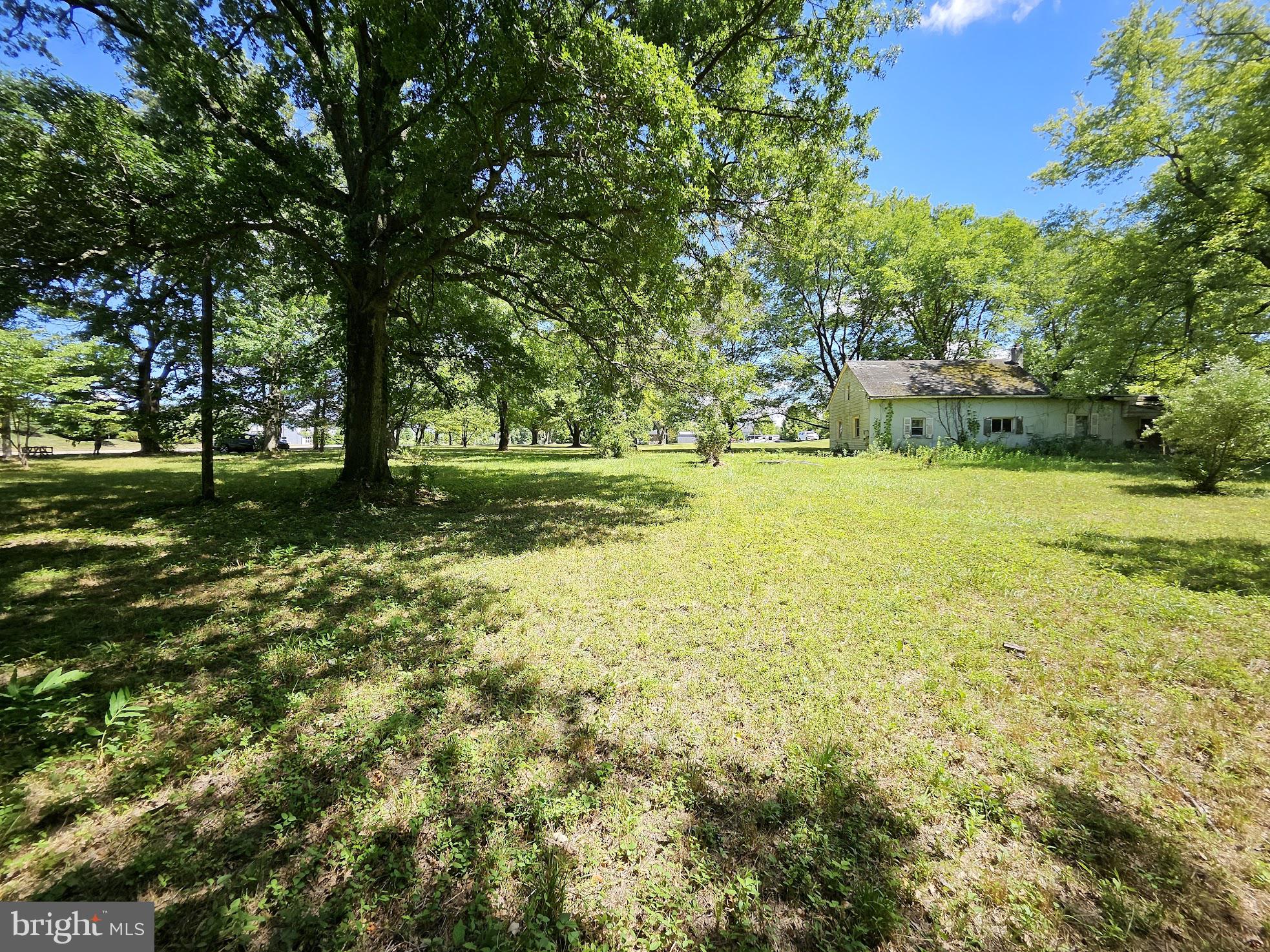 a view of a yard with an trees