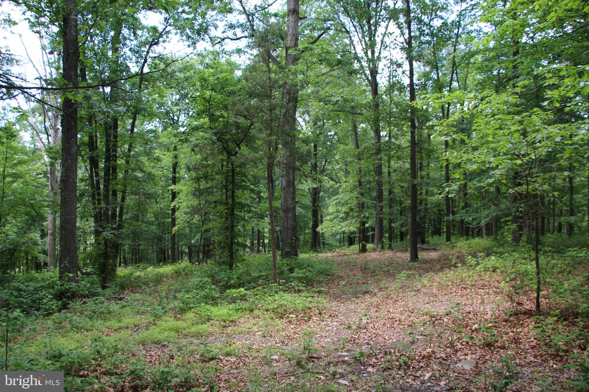 a view of outdoor space and green space