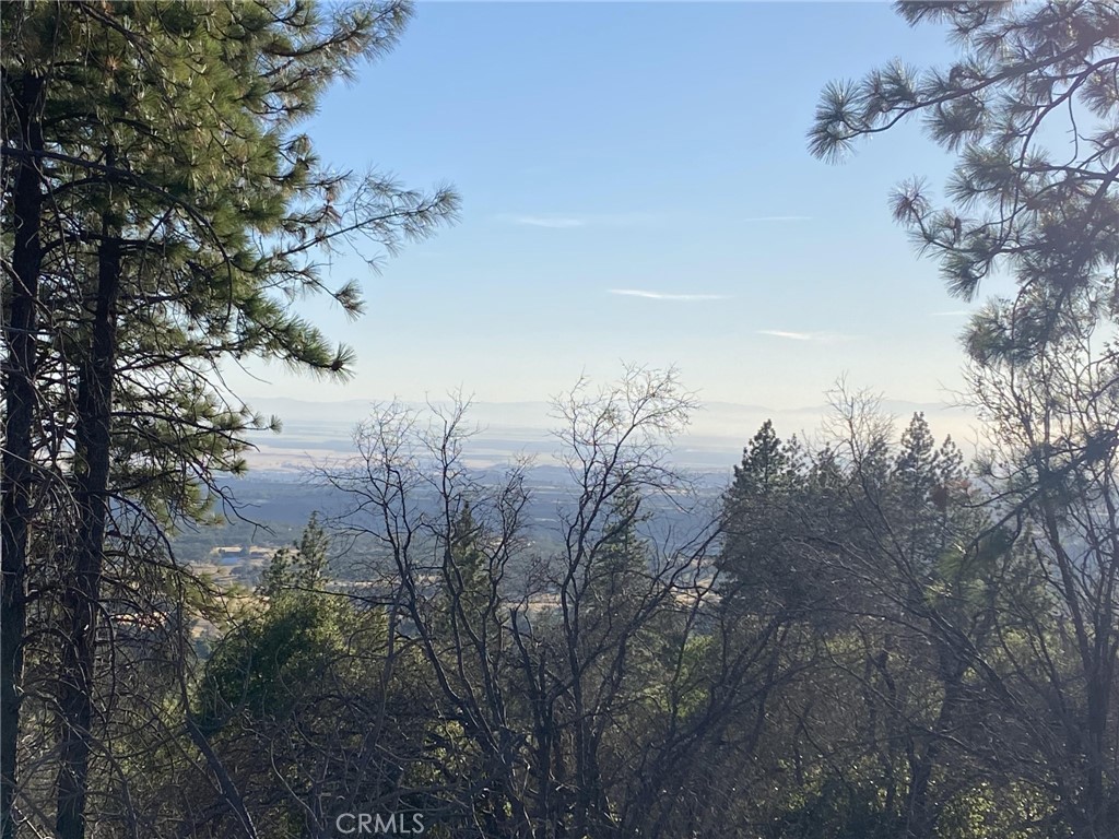 a view of a lake in middle of forest