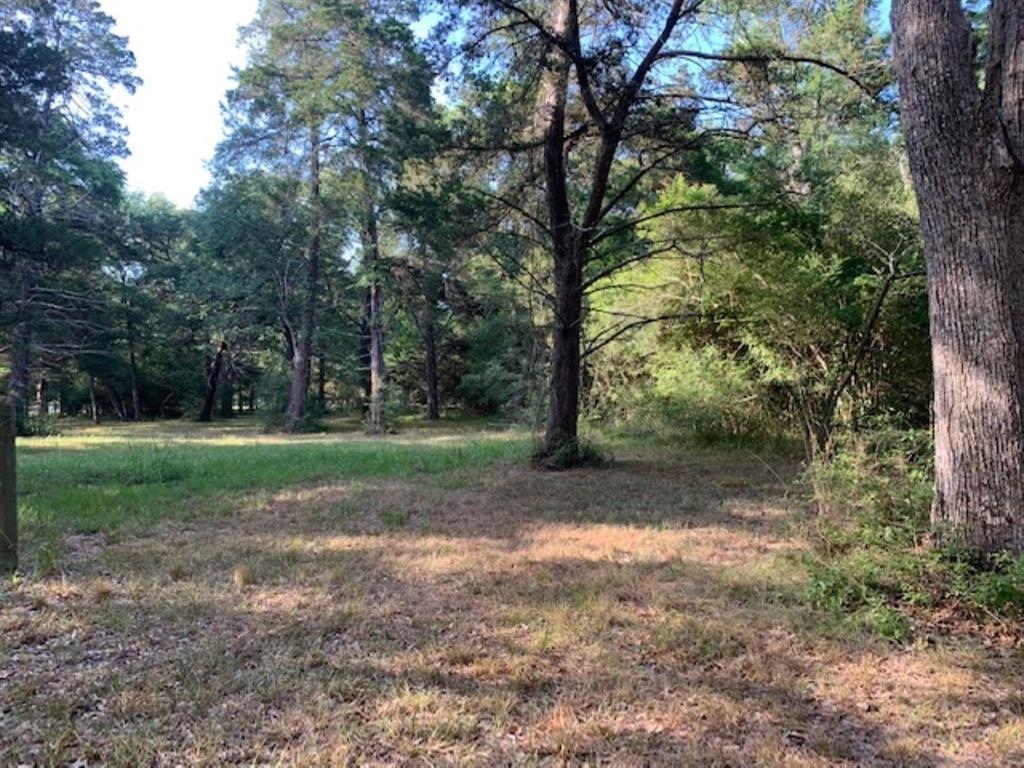 a view of a tree in the middle of a yard