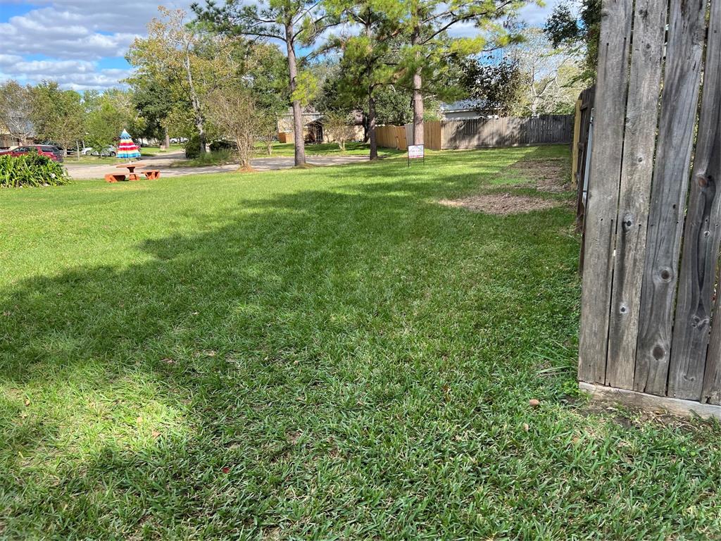 a view of a park with large trees