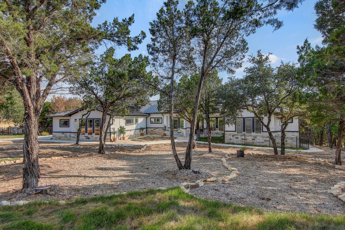 a tree in the middle of a yard