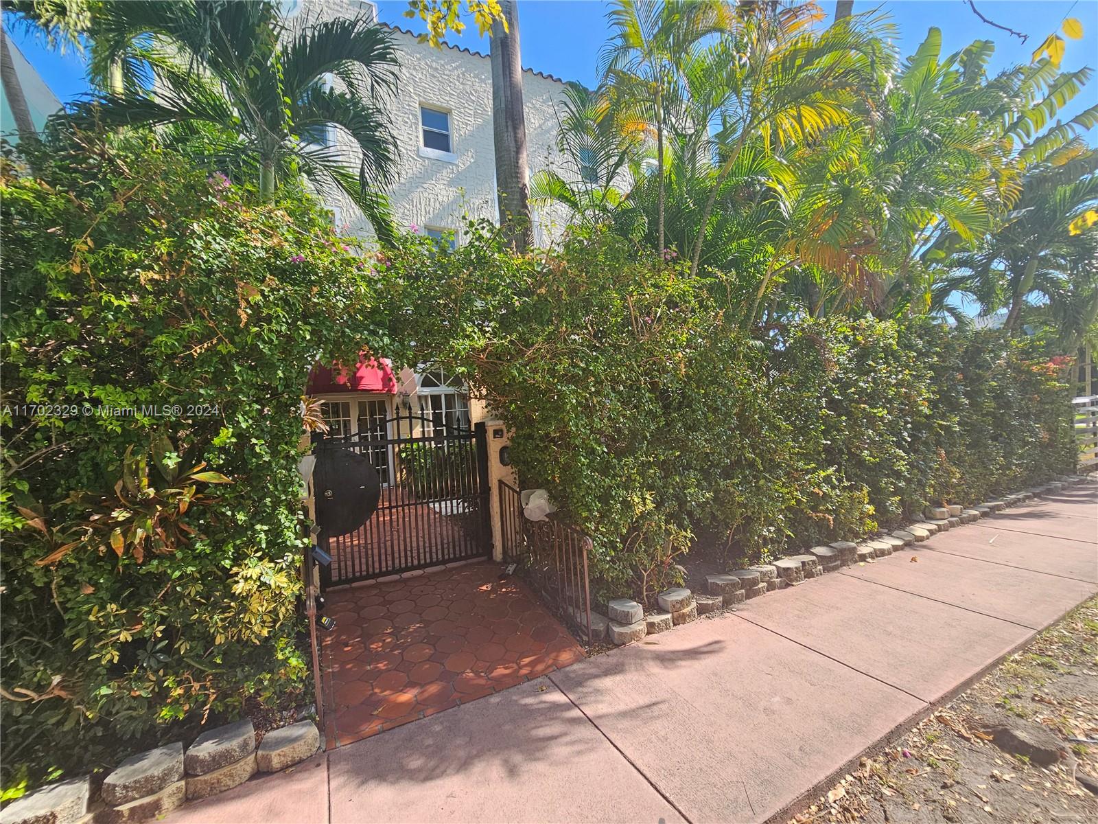 a small yard covered with tall trees