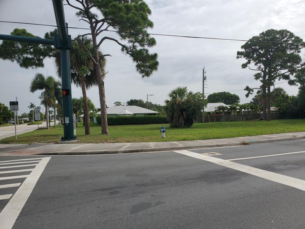 a view of a park with palm trees