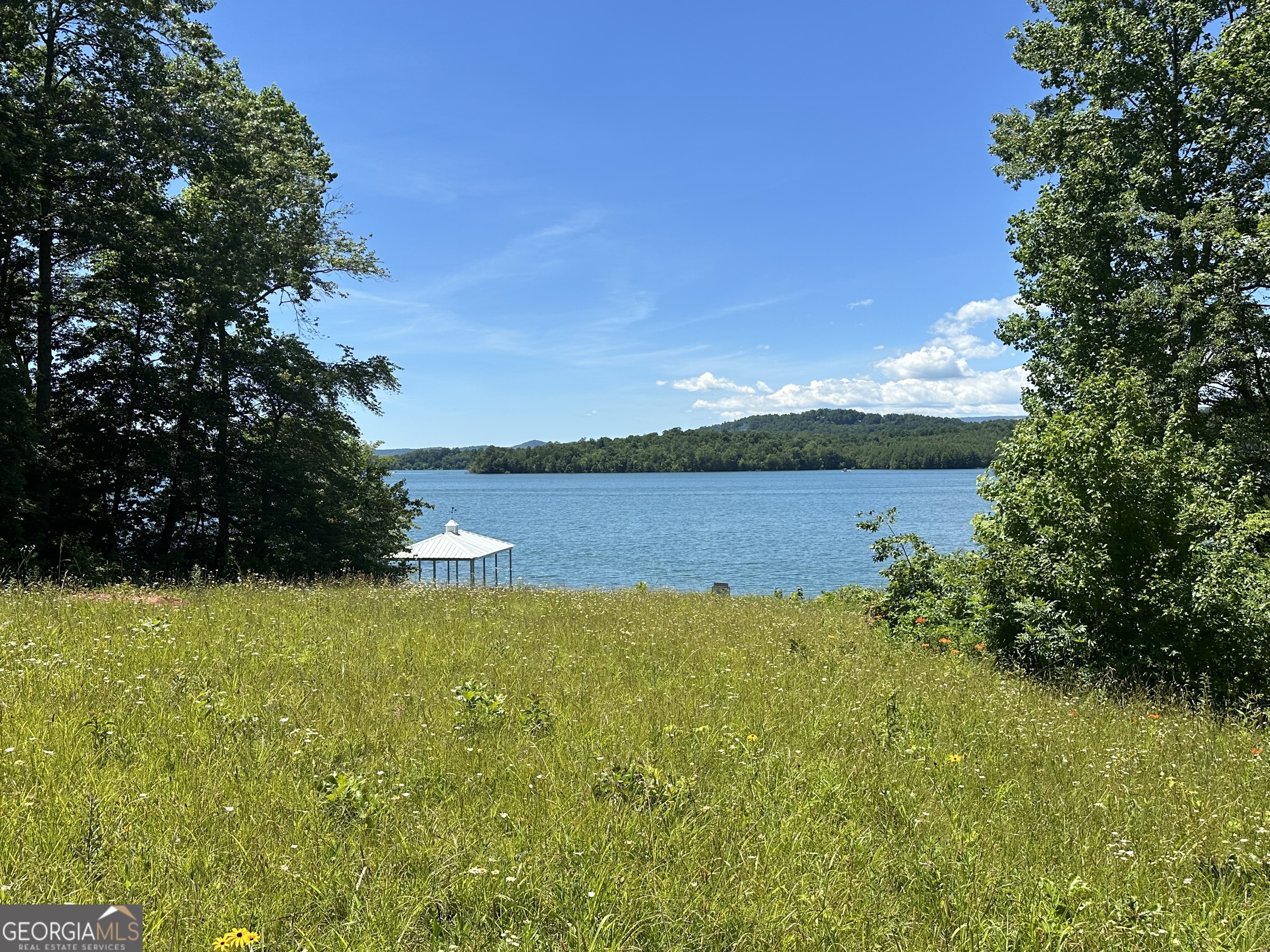 a view of a lake with houses in the back