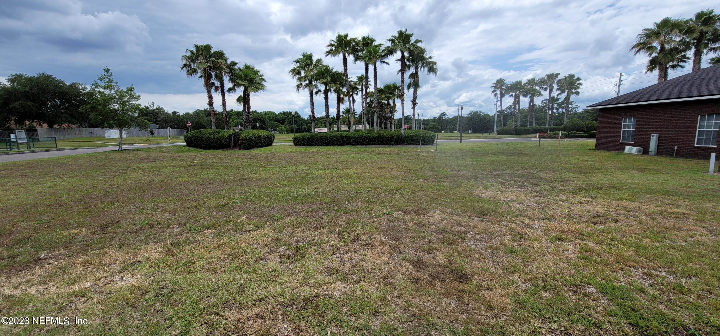 a view of a yard with palm trees