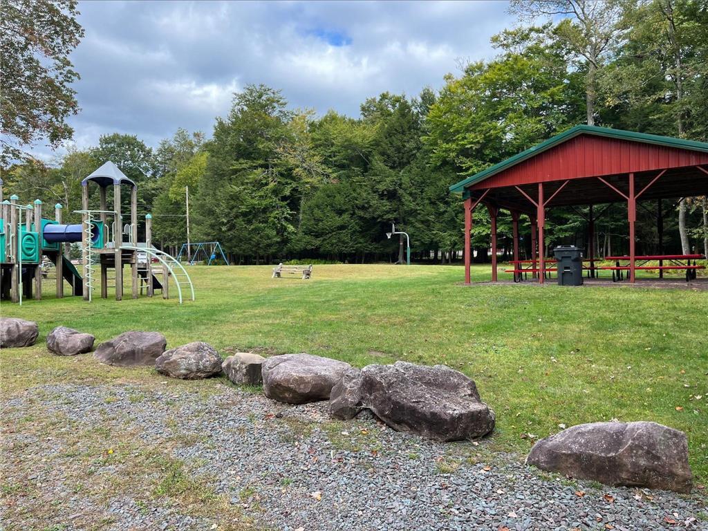 a view of a park with large trees