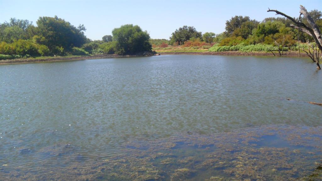 a view of a lake with a mountain in the background