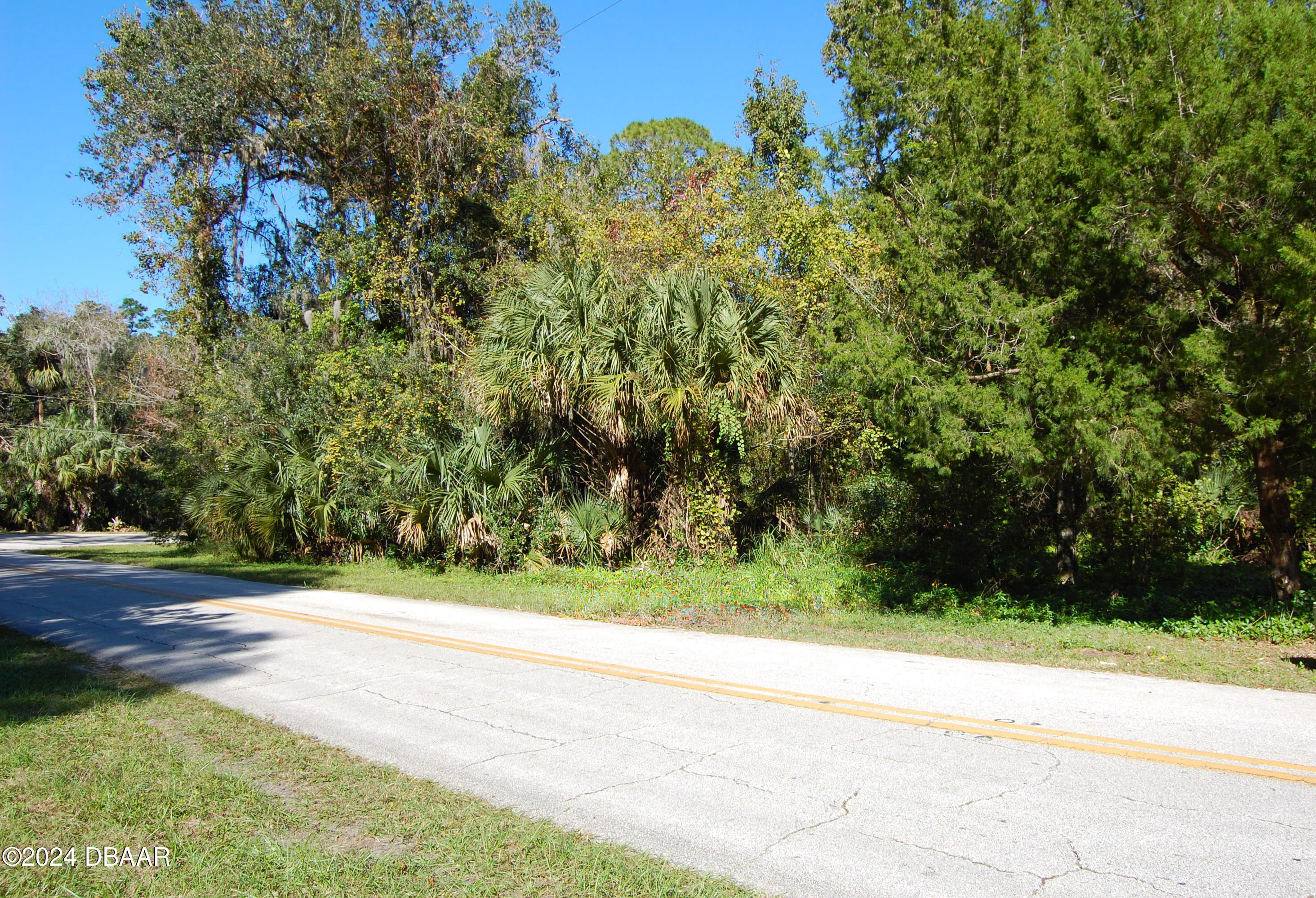 a view of a yard with a trees