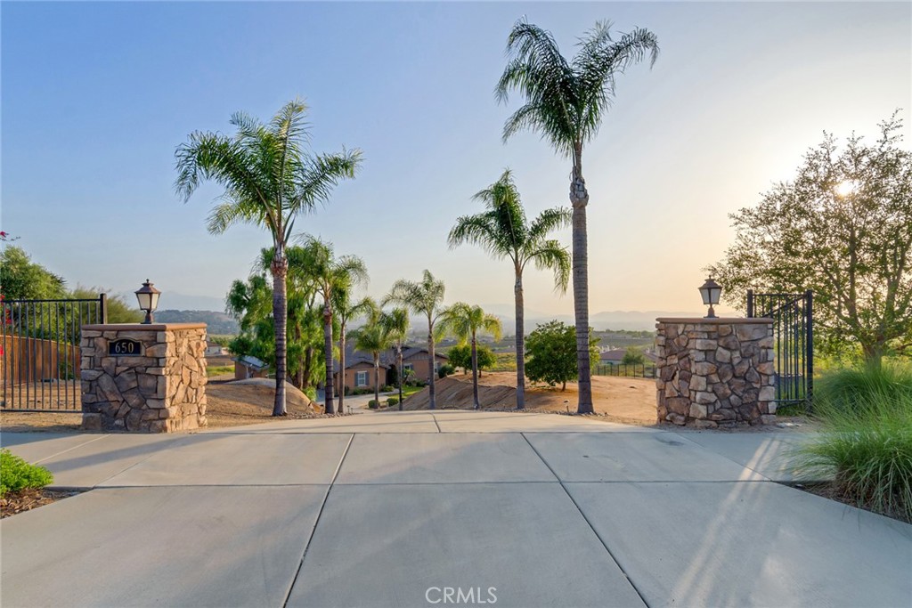 a view of outdoor space with palm trees