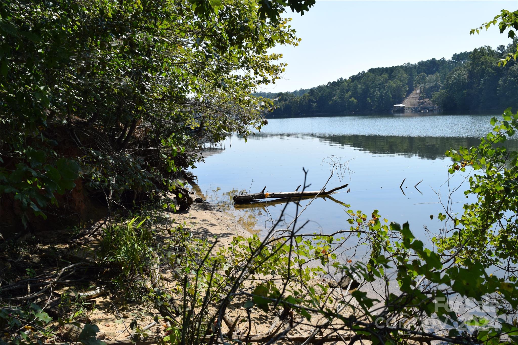 a view of a lake in middle of the forest