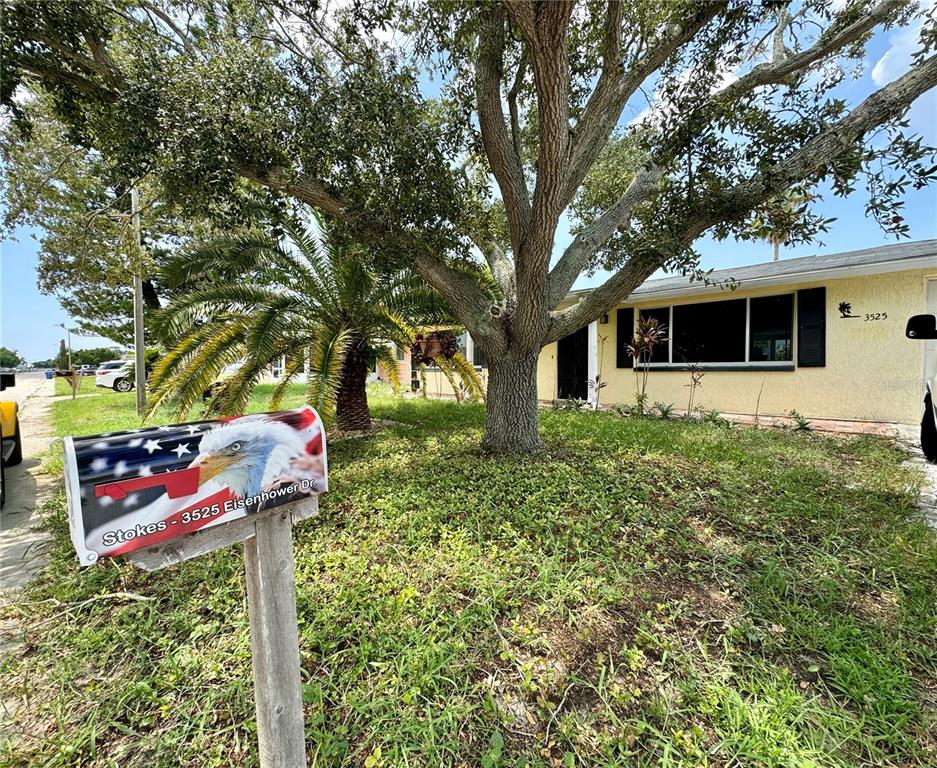 a front view of a house with a tree