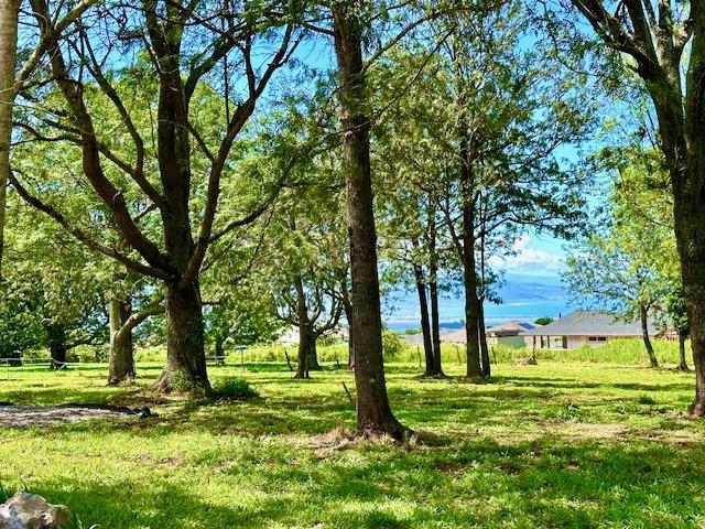 a view of outdoor space with trees all around