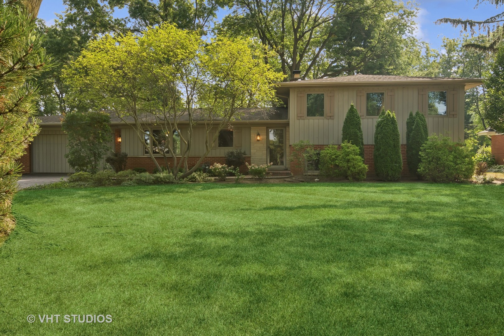 a backyard of a house with plants and large tree