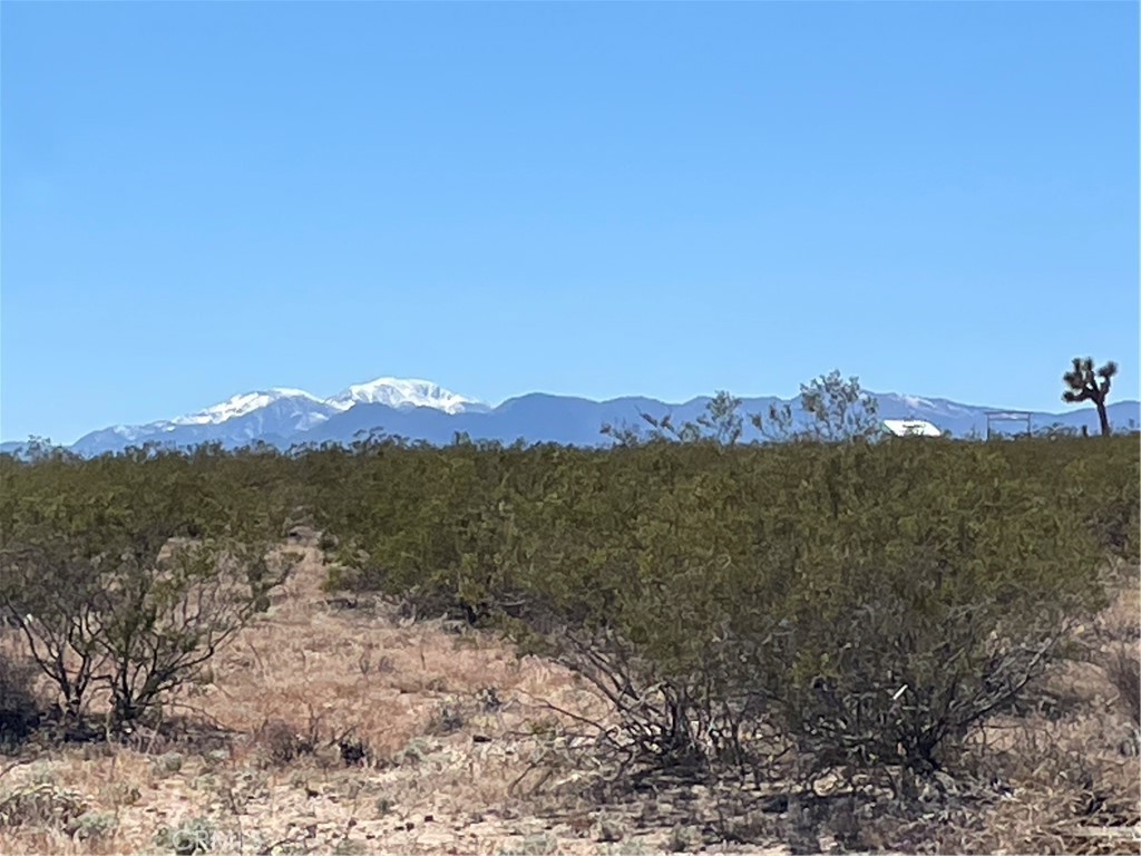 a view of a town with mountains in the background