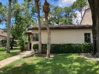 a view of a house with a yard plants and large tree