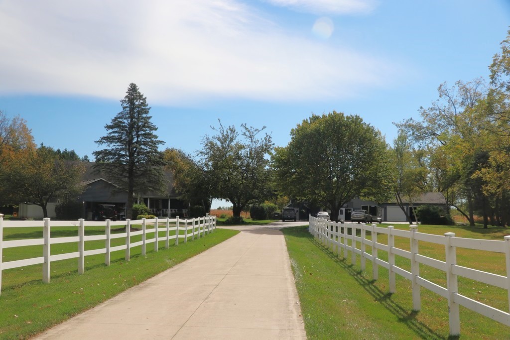 a view of a park with large trees