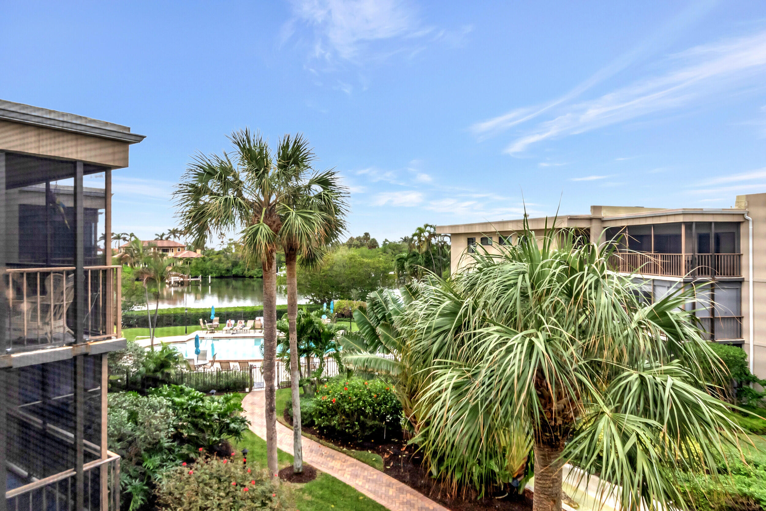 a view of a yard with plants