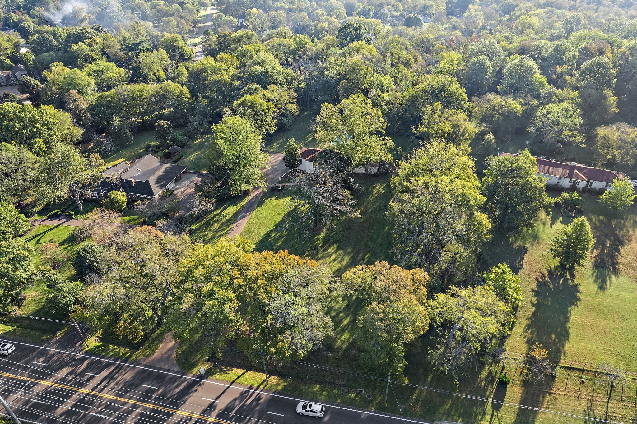 a view of a garden