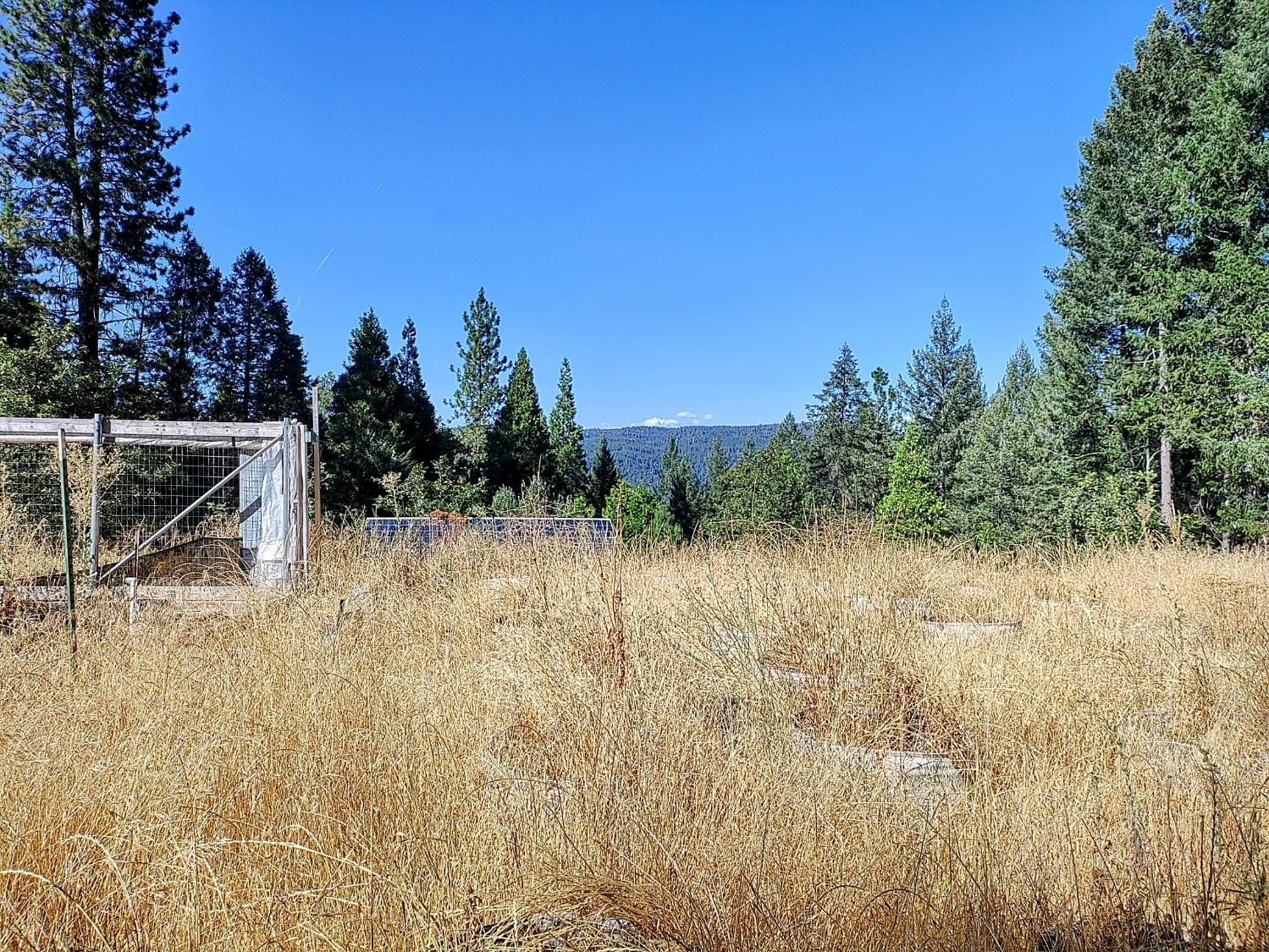 a view of outdoor space and yard