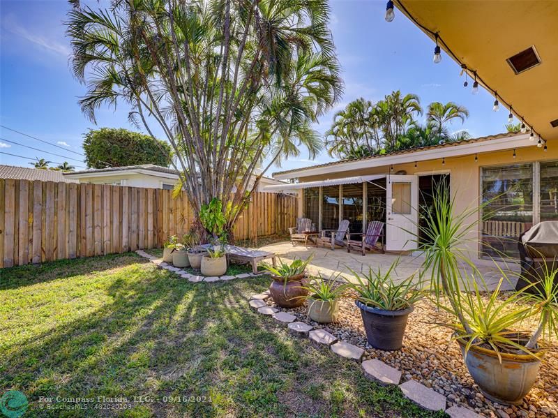 a view of a backyard with garden and plants