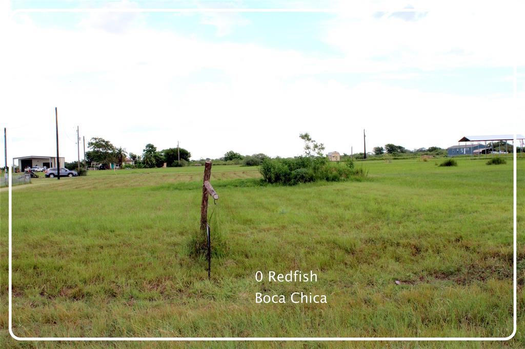 a view of a big yard with lots of green space