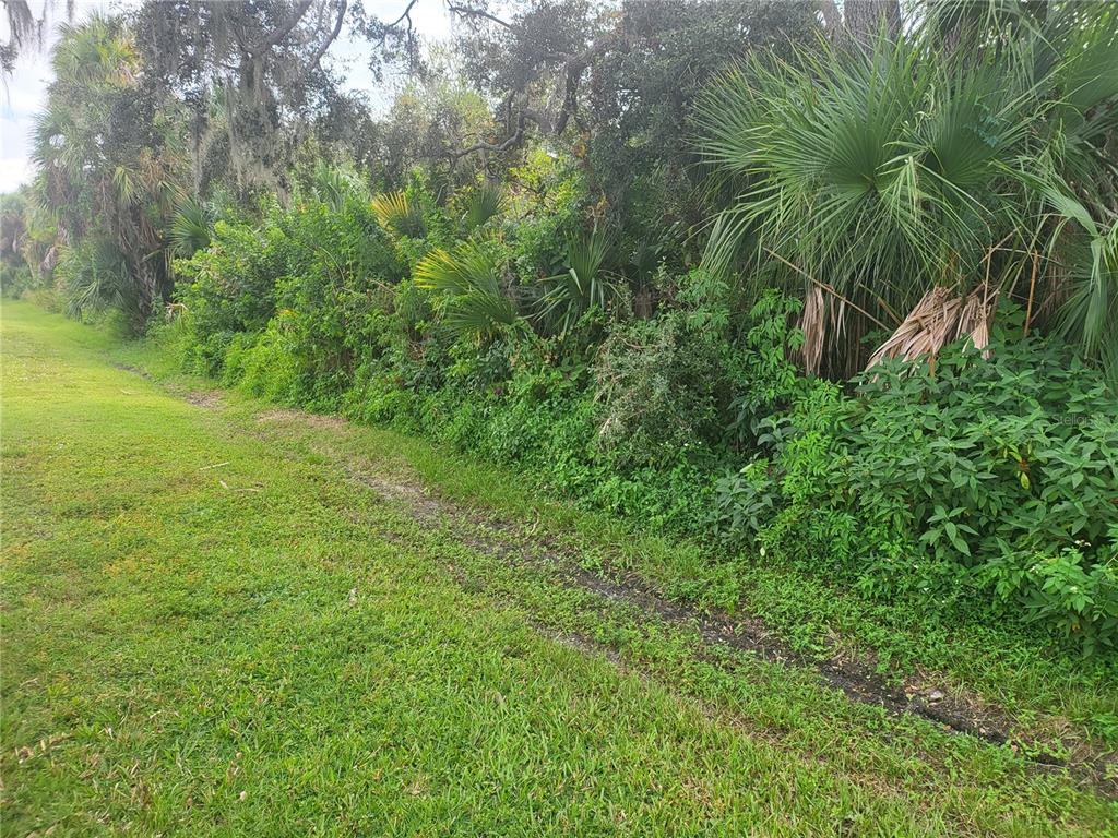 a view of a garden