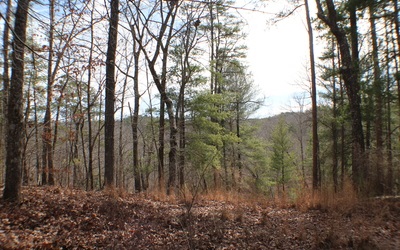 a view of outdoor space and green space