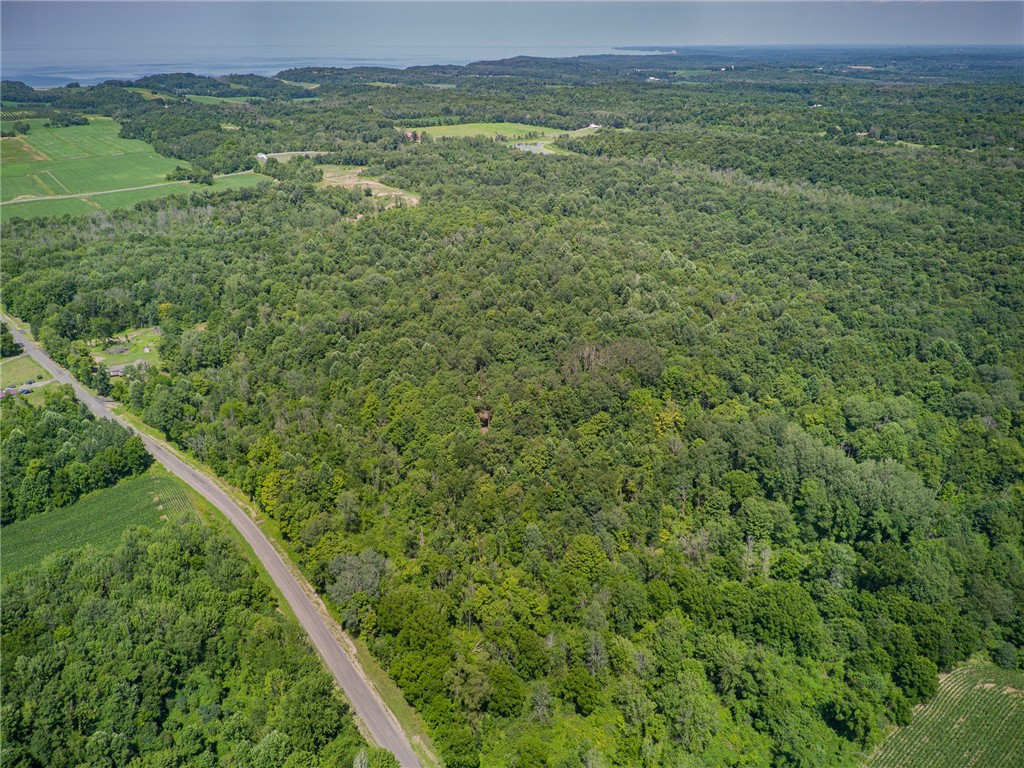 50.76 acres in Wolcott NY - 7620 Wadsworth Rd