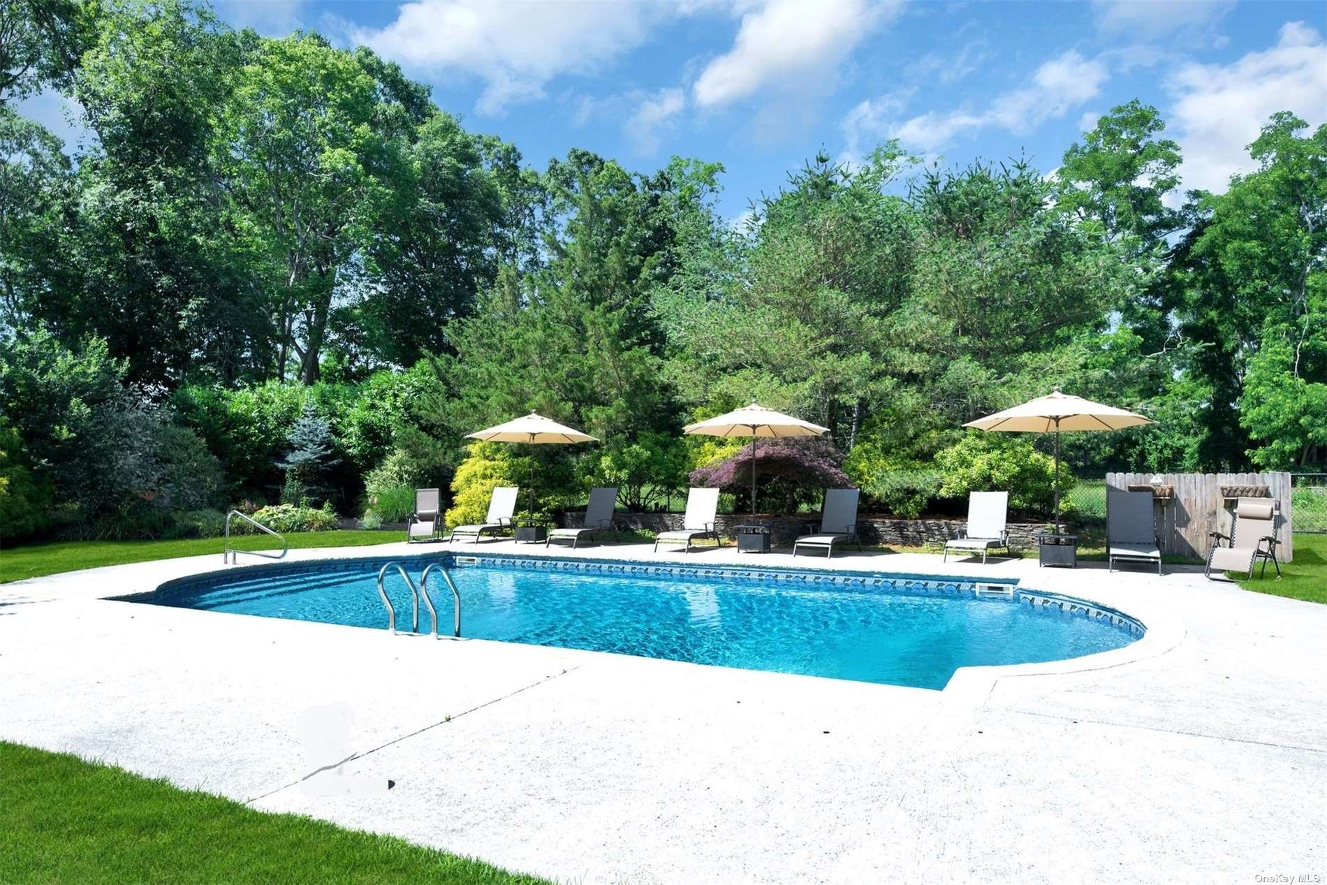 a view of a swimming pool with lawn chairs and plants