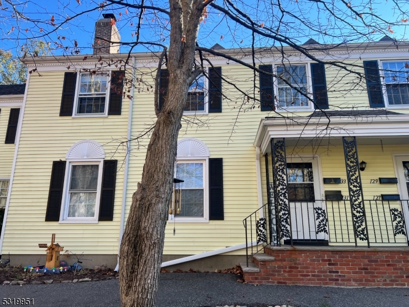 a front view of a house