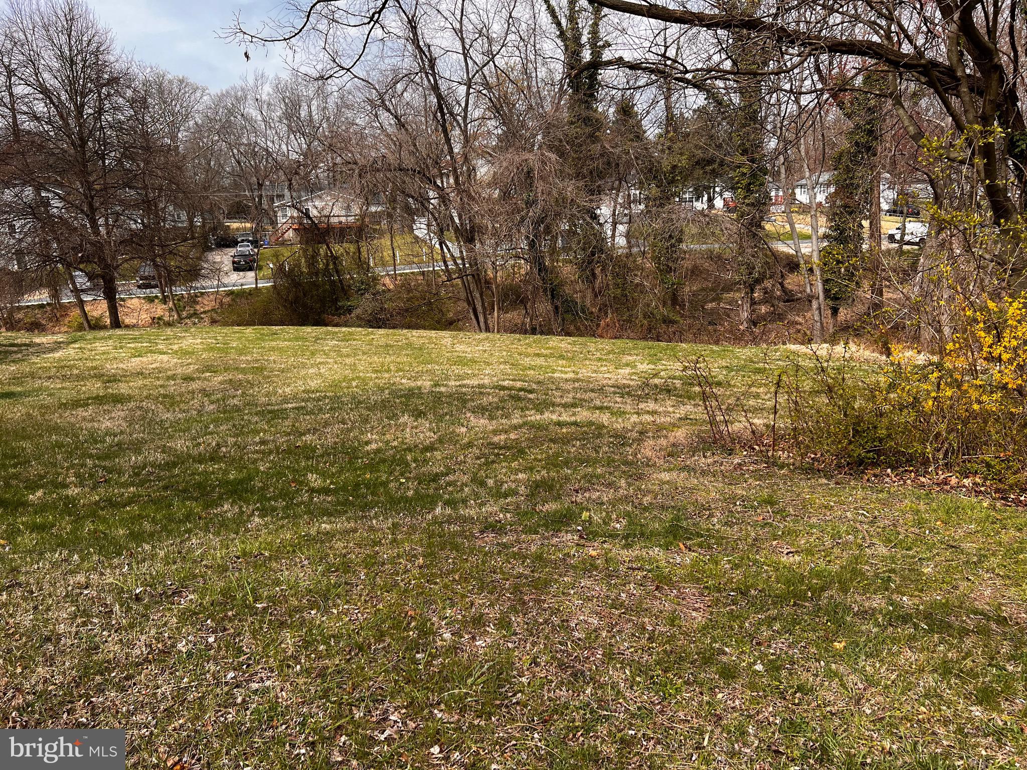 a view of outdoor space with trees