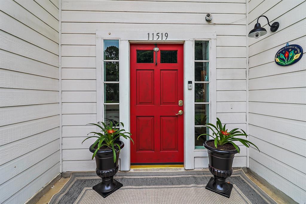 a potted plant sitting in front of a door