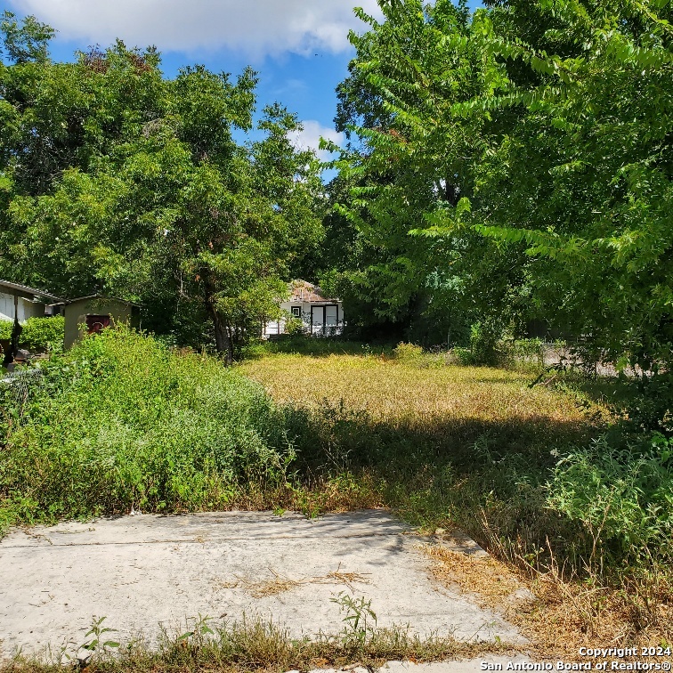 a view of yard with green space